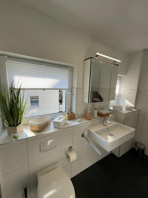 Komfortable Ferienwohnung In Halle-Kroellwitz Halle  Kültér fotó