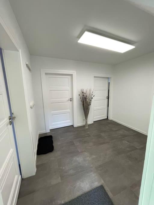 Komfortable Ferienwohnung In Halle-Kroellwitz Halle  Kültér fotó